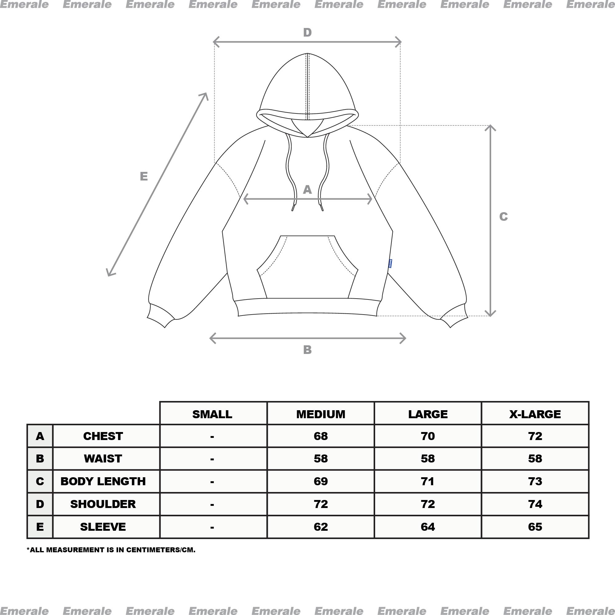 DREAM HOODIE GREY | EMERALE